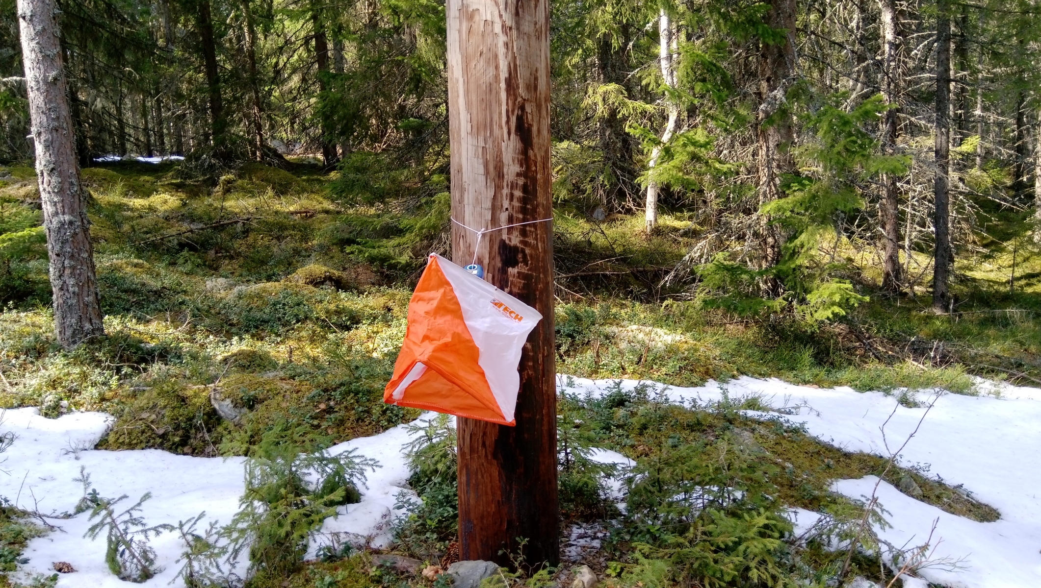 image: OL-träning tisdag  25 april vid NOK-stugan